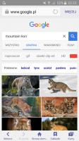 komentarz obrazkowy