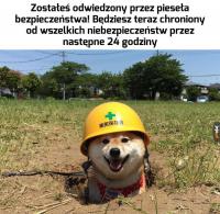 komentarz obrazkowy