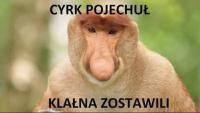 komentarz obrazkowy
