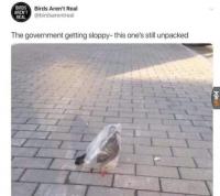 komentarz obrazkowy