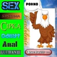 komentarz obrazkowy