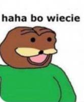 komentarz obrazkowy