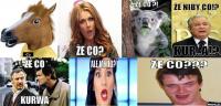 komentarz obrazkowy