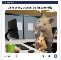 komentarz obrazkowy