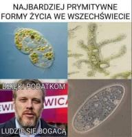 komentarz obrazkowy