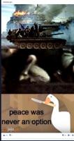 komentarz obrazkowy