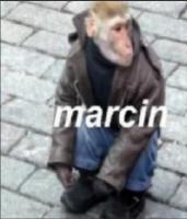 komentarz obrazkowy