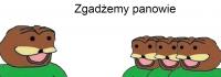 komentarz obrazkowy
