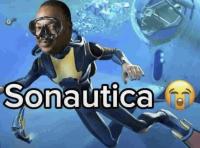 komentarz obrazkowy