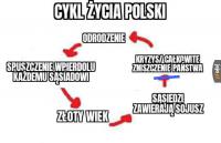 komentarz obrazkowy