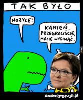 komentarz obrazkowy