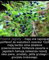 komentarz obrazkowy