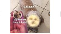 komentarz obrazkowy