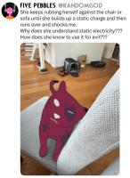 komentarz obrazkowy