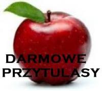 komentarz obrazkowy