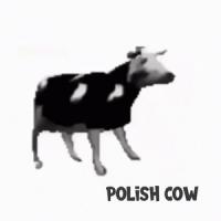 komentarz obrazkowy