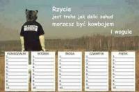 komentarz obrazkowy