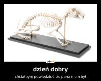 komentarz obrazkowy