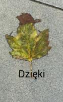 komentarz obrazkowy
