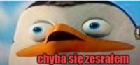 komentarz obrazkowy