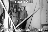 komentarz obrazkowy