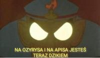 komentarz obrazkowy