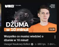 komentarz obrazkowy
