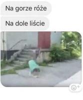 komentarz obrazkowy