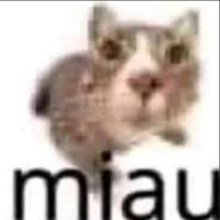 komentarz obrazkowy