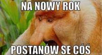 komentarz obrazkowy