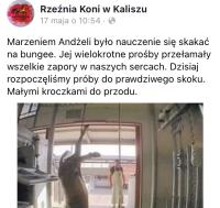 komentarz obrazkowy