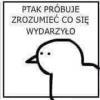 komentarz obrazkowy