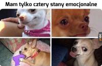 komentarz obrazkowy