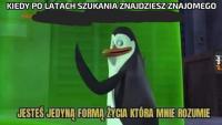 komentarz obrazkowy