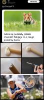 komentarz obrazkowy