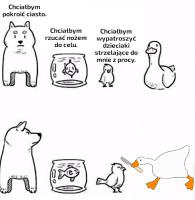 komentarz obrazkowy