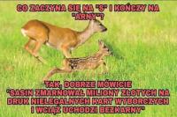 komentarz obrazkowy