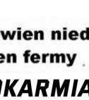 komentarz obrazkowy