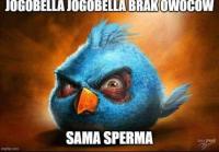 komentarz obrazkowy