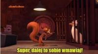 komentarz obrazkowy