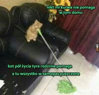 komentarz obrazkowy