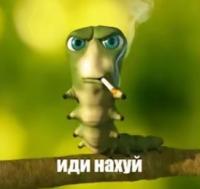 komentarz obrazkowy