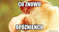komentarz obrazkowy