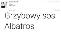komentarz obrazkowy