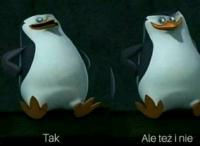 komentarz obrazkowy