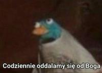 komentarz obrazkowy