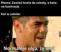 komentarz obrazkowy