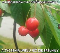 komentarz obrazkowy