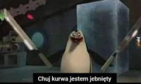 komentarz obrazkowy
