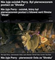 komentarz obrazkowy